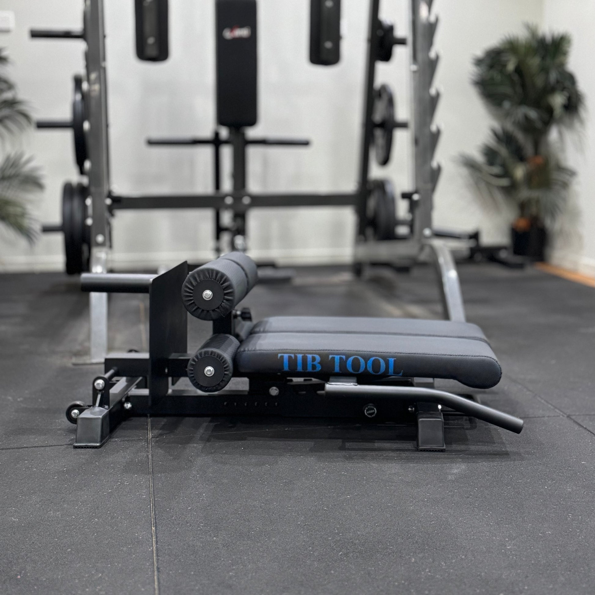 The Tib Tool Nordic back extension machine. Back extension.