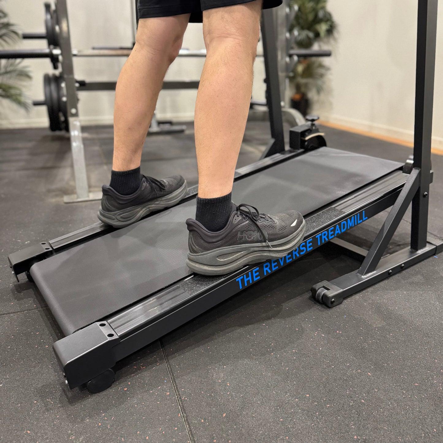 The Reverse Treadmill™ (Pre-Order)