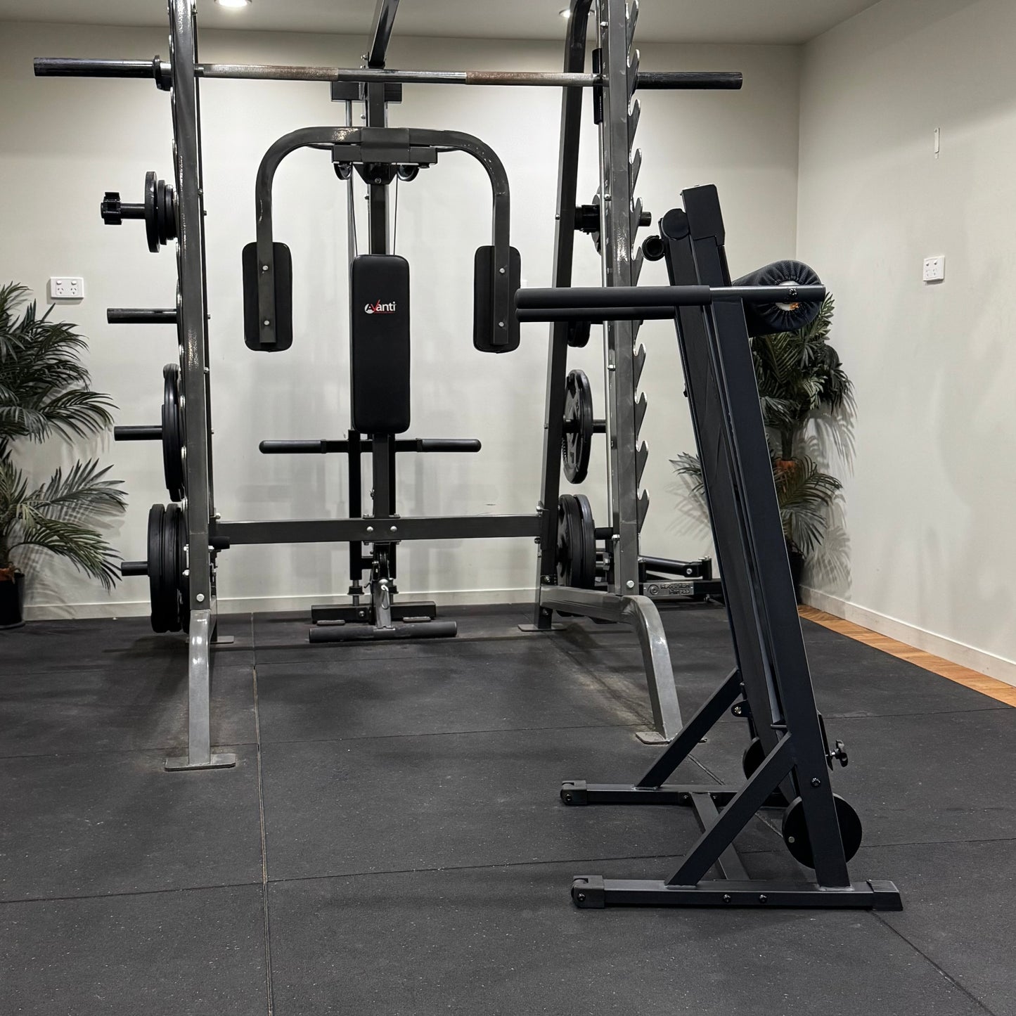 The Reverse Treadmill™ (Pre-Order)