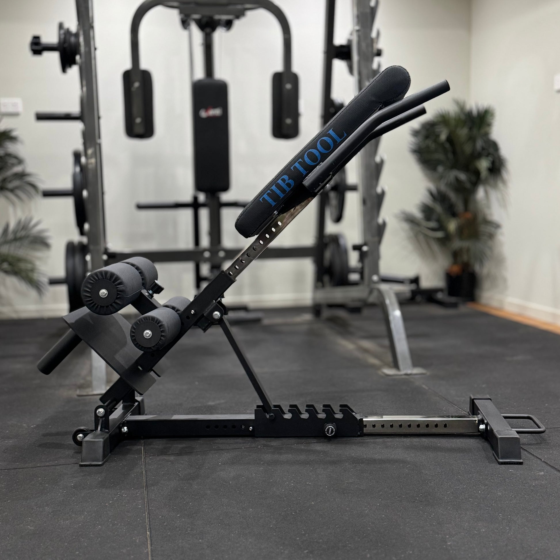 The Tib Tool Nordic back extension machine.
