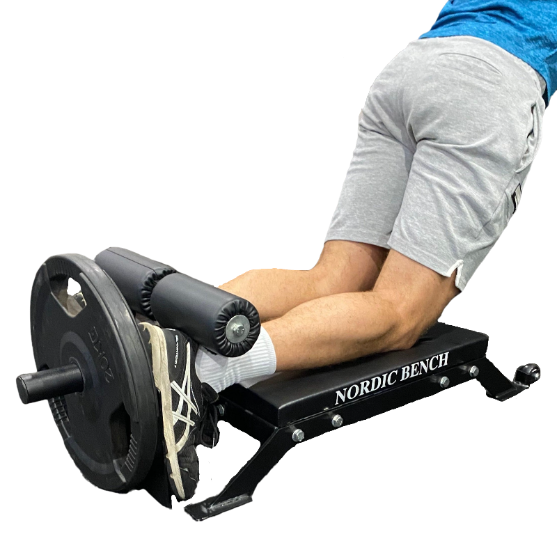 Nordic Curl Equipment