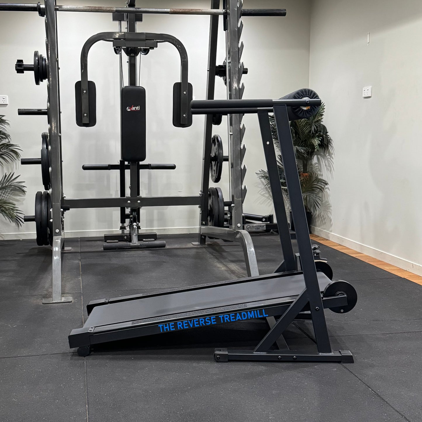 The Reverse Treadmill™ (Pre-Order)